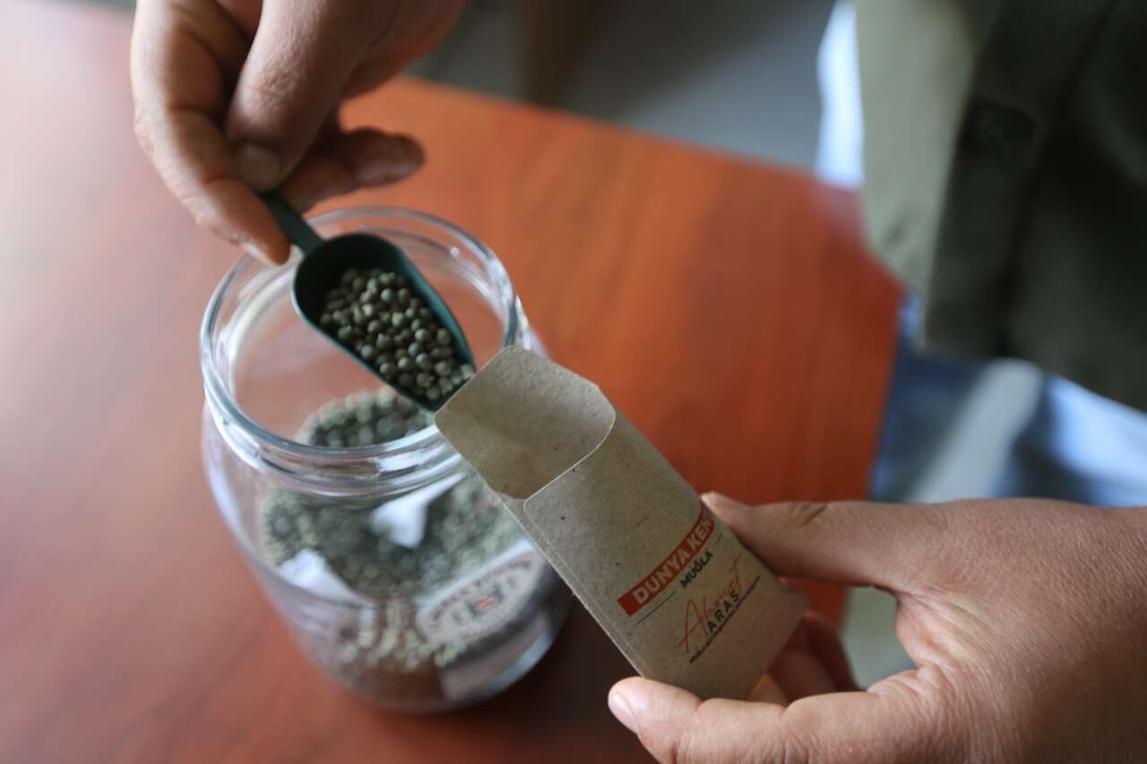 Muğla’nın Ata Tohumları Ülke Toprakları ile Buluşmaya Devam Ediyor 5